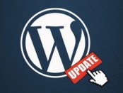 WordPress 4.2.2 Update