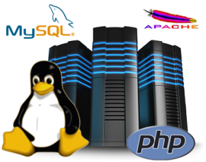 Linux webhosting