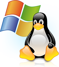Linux of Windows webhosting